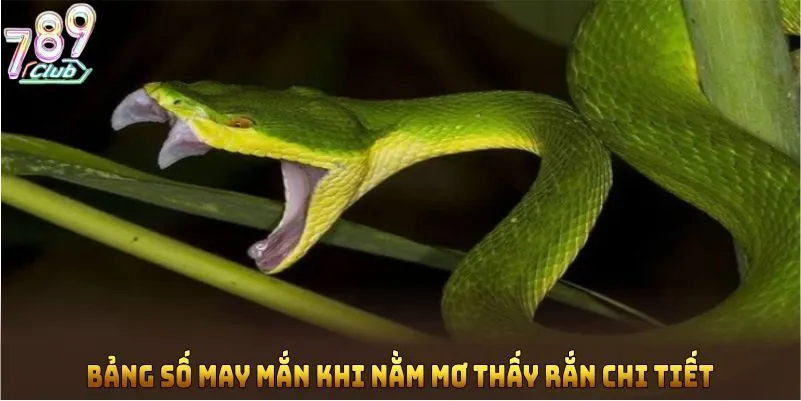 Bảng số may mắn khi nằm mơ thấy rắn chi tiết