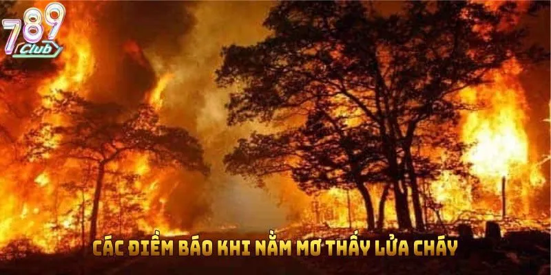 Các điềm báo khi nằm mơ thấy lửa cháy