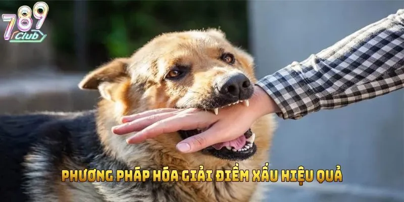 Phương pháp hóa giải