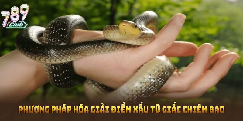 Phương pháp hóa giải điềm xấu từ giấc chiêm bao